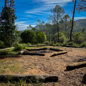 Ceada - Escuteiros de Setúbal