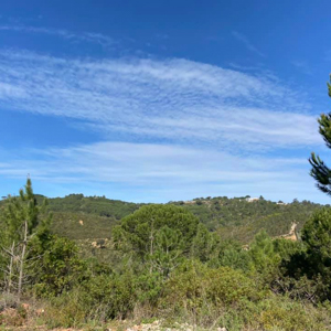 Ceada - Escuteiros de Setúbal