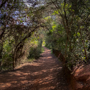 Ceada - Escuteiros de Setúbal