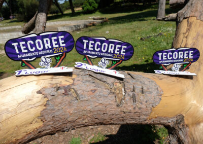 Tecoree Regional 2024 - Escuteiros de Setúbal